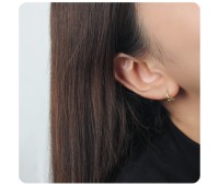 Hoop Earring HO-71-GP